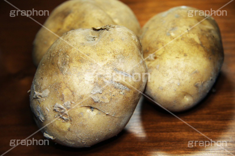 ジャガイモ,じゃがいも,じゃが芋,いも,イモ,芋,ドロ,泥,土,新鮮,ポテト,vegetable,potato