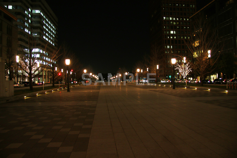 東京駅前,中央駅,Tokyo Station City,夜,ライトアップ,通り,tokyo