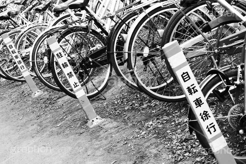 自転車(モノクロ),モノクロ,白黒,しろくろ,モノクローム,単色画,単彩画,単色,マナー