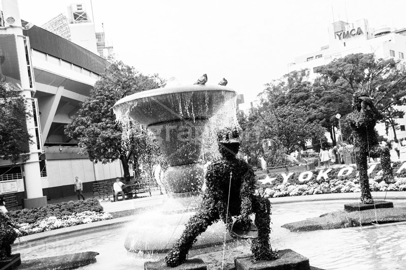 横浜公園の噴水,モノクロ,白黒,しろくろ,モノクローム,単色画,単彩画,単色