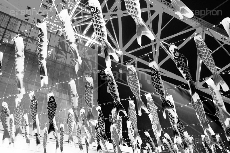 東京タワーの鯉のぼり,モノクロ,白黒,しろくろ,モノクローム,単色画,単彩画,単色