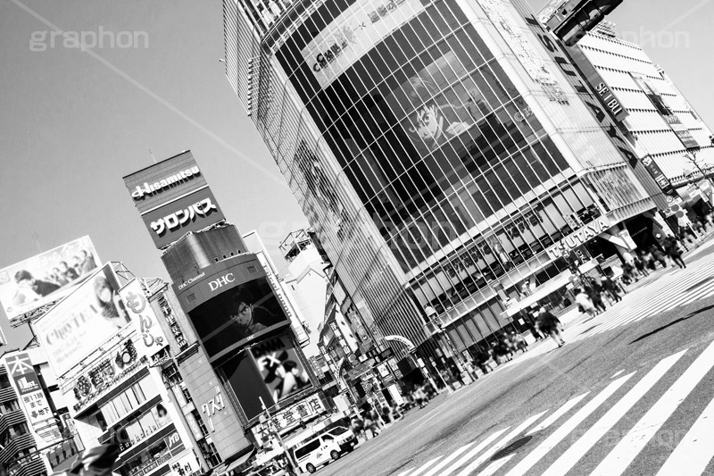 渋谷,モノクロ,白黒,しろくろ,モノクローム,単色画,単彩画,単色