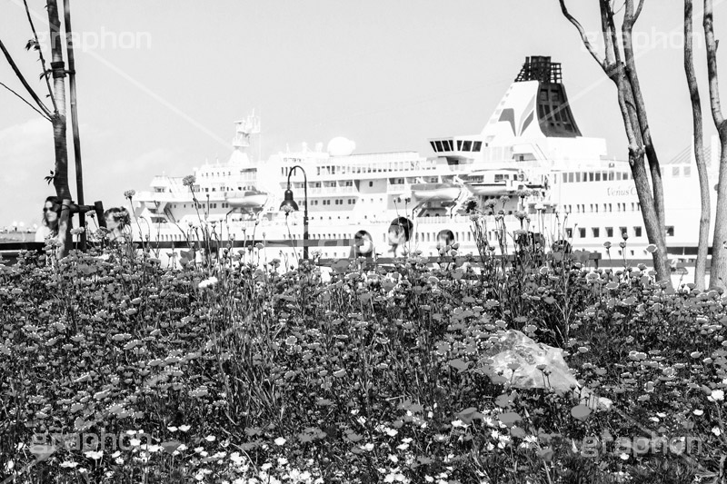 横浜港,モノクロ,白黒,しろくろ,モノクローム,単色画,単彩画,単色