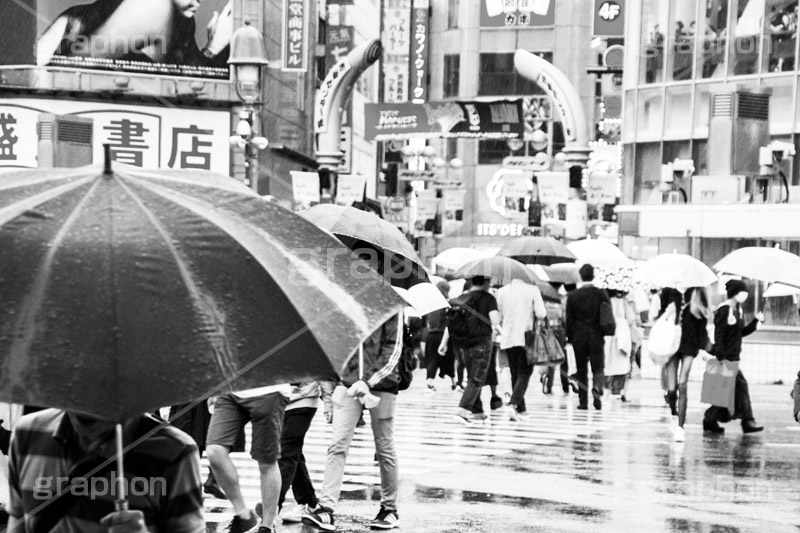 雨の渋谷,モノクロ,白黒,しろくろ,モノクローム,単色画,単彩画,単色,水たまり