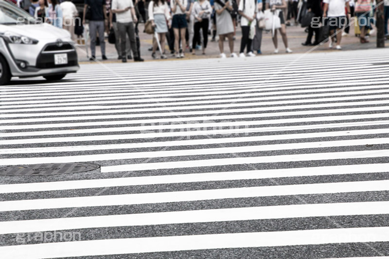横断歩道,雑踏,都会,都心,東京,街角,街角スナップ,人々,人物,渡る,歩く,通勤,通学,足,シマ