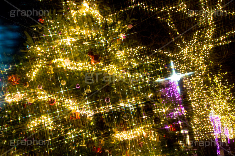 光り輝くクリスマスツリー,クリスマスツリー,イルミネーション,イルミ,illumination,tree,電飾,電球,発光ダイオード,LED,冬,キラキラ,綺麗,きれい,キレイ,煌,輝,デート,クリスマス,CHRISTMAS,Xmas,ornament,飾り,デコレーション,イベント,モミの木,もみの木,オーナメント
