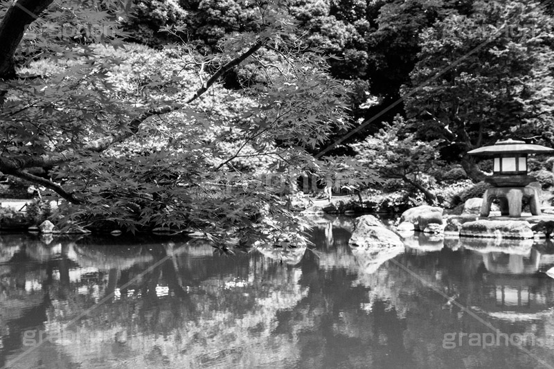 日本庭園(モノクロ),モノクロ,白黒,しろくろ,モノクローム,単色画,単彩画,単色,旧古河庭園