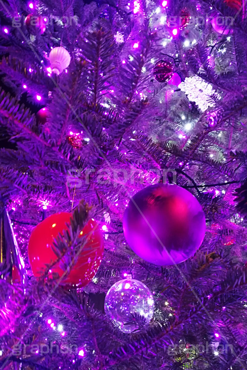 ピンクに輝くクリスマスツリー,クリスマスツリー,イルミネーション,イルミ,illumination,tree,電飾,電球,発光ダイオード,LED,冬,キラキラ,綺麗,きれい,キレイ,煌,輝,クリスマス,CHRISTMAS,Xmas,ornament,present,pink,飾り,デコレーション,イベント,オーナメント,ピンク,スマホ撮影