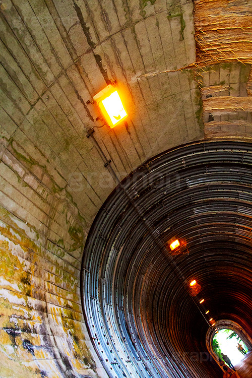 佐助隧道,トンネル,暗い,怖い,怪しい,古い,心霊,ホラー,神奈川,鎌倉,噂,草木,廃,小さなトンネル,荒