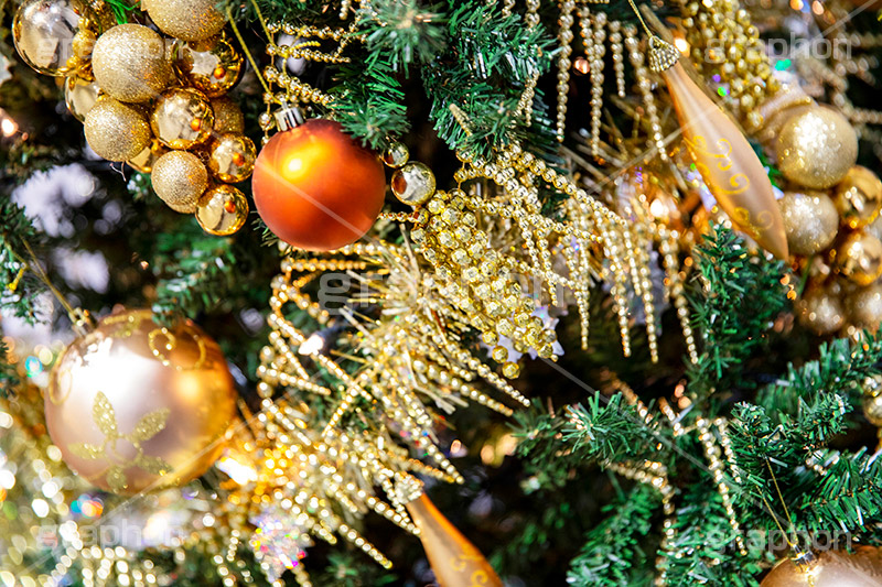 光り輝くクリスマスオーナメント,クリスマスツリー,イルミネーション,イルミ,電飾,電球,発光ダイオード,LED,冬,キラキラ,綺麗,きれい,キレイ,煌,輝,デート,クリスマス,CHRISTMAS,Xmas,ornament,illumination,tree,飾り,デコレーション,イベント,オーナメント,ボール,フルサイズ撮影,もみの木,モミの木