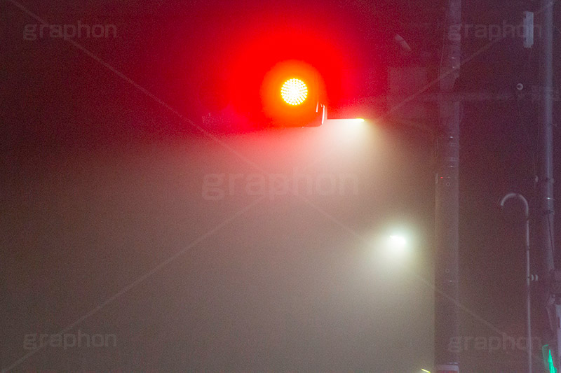 濃霧,霧,水蒸気,湿度,散乱,もや,視界,露点,水粒,早朝,天気,気象,幻想的,怪しい,早朝,信号機