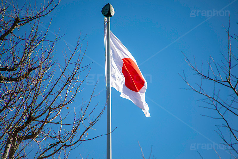 日本国旗,日の丸,国旗,旗,国,国家,日本,政治,シンボル,祝日,祝い,揺れる,なびく,symbol,japan,フルサイズ撮影