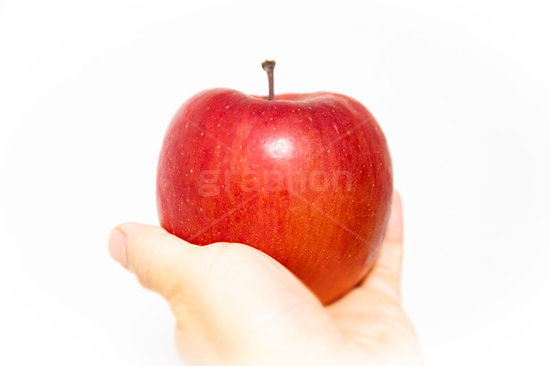 リンゴを持つ手,りんご,リンゴ,林檎,フルーツ,果実,果物,実,持つ,モデル,手,イメージ,人物,謎,fruit,hand,image,model,フルサイズ撮影