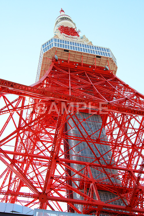 東京タワー,タワー,総合電波塔,電波,塔,日本電波塔,333m,とうきょうタワー,Tokyo Tower,港区,東京のシンボル,観光名所,真下,見上げ,japan