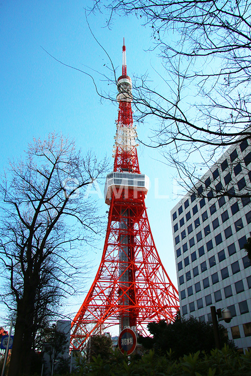 東京タワー,タワー,総合電波塔,電波,塔,日本電波塔,333m,とうきょうタワー,Tokyo Tower,港区,東京のシンボル,観光名所,冬,japan