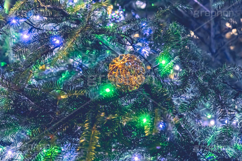 光り輝くクリスマスツリー,クリスマスツリー,イルミネーション,イルミ,電飾,電球,発光ダイオード,冬,キラキラ,綺麗,きれい,キレイ,煌,輝,デート,クリスマス,飾り,デコレーション,イベント,モミの木,もみの木,オーナメント,ボール,illumination,tree,LED,CHRISTMAS,Xmas,ornament,フルサイズ撮影