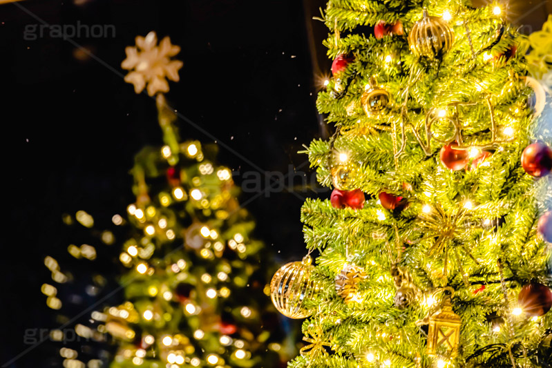 ウィンドウ越しのクリスマスツリー,光り輝くクリスマスツリー,クリスマスツリー,イルミネーション,イルミ,電飾,電球,発光ダイオード,冬,キラキラ,綺麗,きれい,キレイ,煌,輝,デート,クリスマス,飾り,デコレーション,イベント,モミの木,もみの木,オーナメント,ボール,ウィンドウ,窓,ショーウィンドウ,反射,illumination,tree,LED,CHRISTMAS,Xmas,ornament,フルサイズ撮影