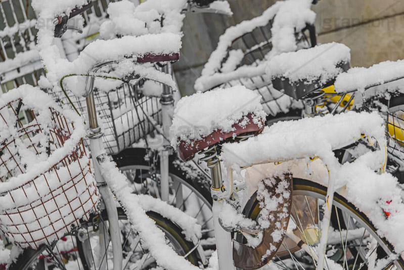 自転車に積もった雪,雪の朝,雪,積もる,冬,サドル,自転車,寒い,凍る,困る,カゴ,かご,籠,タイヤ,降る,積雪,snow,winter,フルサイズ撮影