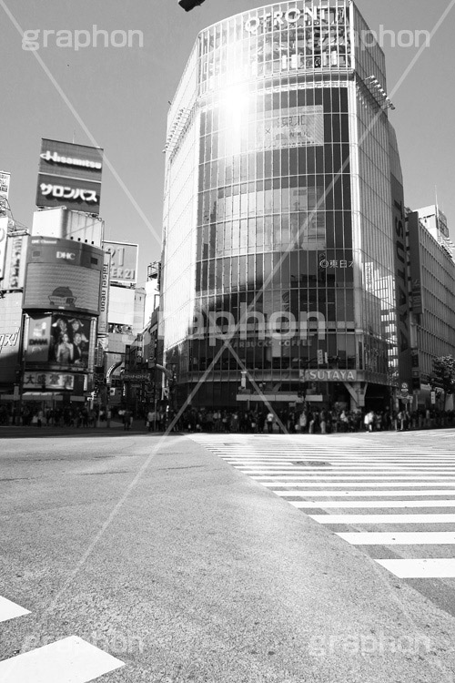 渋谷交差点,モノクロ,白黒,しろくろ,モノクローム,単色画,単彩画,単色