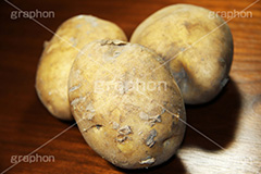 ジャガイモ,じゃがいも,じゃが芋,いも,イモ,芋,ドロ,泥,土,新鮮,ポテト,vegetable,potato