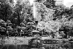 日比谷公園の噴水(モノクロ),モノクロ,白黒,しろくろ,モノクローム,単色画,単彩画,単色,公園
