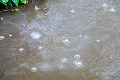 川に雨粒,川,雨粒,雨,雨の日,濁り,波紋,梅雨,つゆ,泡,水しぶき,泡,跳ね
