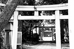 熊野神社,モノクロ,白黒,しろくろ,モノクローム,単色画,単彩画,単色,自由が丘