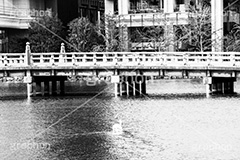 和田倉橋,モノクロ,白黒,しろくろ,モノクローム,単色画,単彩画,単色,橋