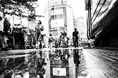 雨の渋谷,モノクロ,白黒,しろくろ,モノクローム,単色画,単彩画,単色,水たまり