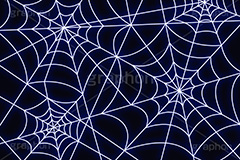 蜘蛛の巣模様,蜘蛛の巣,クモの巣,くも,クモ,蜘蛛,ホラー,ハロウィン,はろうぃん,ハロウィーン,おばけ,イベント,イラスト,ポップ,背景,模様,柄,もよう,スパイダー,クール,かっこいい,カッコイイ,ネオン,neon,POP,Halloween,illustration,spider,cool