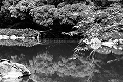 日本庭園(モノクロ),モノクロ,白黒,しろくろ,モノクローム,単色画,単彩画,単色,旧古河庭園