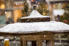 灯籠に積もる雪,雪,冬,降る,積もる,寒波,大雪,和,japan,snow,winter