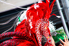 サンバの羽飾り,サンバ,羽飾り,羽,派手,カーニバル,祭典,祭り,豪華,装飾,魅力,セクシー,情熱,sexy,samba,carnival,festival