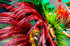 サンバの羽飾り,サンバ,羽飾り,羽,派手,カーニバル,祭典,祭り,豪華,装飾,魅力,セクシー,カラフル,情熱,colorful,sexy,samba,carnival,festival