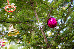 クリスマスオーナメント,クリスマス,クリスマスツリー,モミの木,もみの木,CHRISTMAS,Xmas,tree,bell,ベル,飾り,デコレーション,ボール,オーナメント,イベント,冬,ornament,装飾,行事,フルサイズ撮影