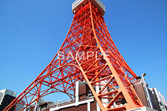 東京タワー,タワー,総合電波塔,電波,塔,日本電波塔,333m,とうきょうタワー,Tokyo Tower,港区,東京のシンボル,観光名所,japan