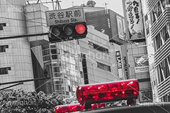 赤信号,信号,信号機,渋谷駅前,渋谷,交差点,パトラン,パトカー,警備,車,警察,サイレン,パトランプ,事故,事件,警戒,警報,取締り,110番,通報,緊急車両,shibuya,japan,フルサイズ撮影