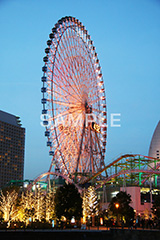 横浜,みなとみらい,ヨコハマ,よこはま,夜景,夜,綺麗,キレイ,きれい,観覧車,神奈川県,ベイサイド