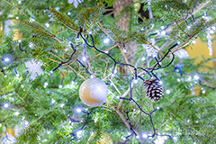 光り輝くクリスマスツリー,クリスマスツリー,イルミネーション,イルミ,電飾,電球,発光ダイオード,冬,キラキラ,綺麗,きれい,キレイ,煌,輝,デート,クリスマス,飾り,デコレーション,イベント,モミの木,もみの木,オーナメント,ボール,松ぼっくり,まつぼっくり,illumination,tree,LED,CHRISTMAS,Xmas,ornament,フルサイズ撮影