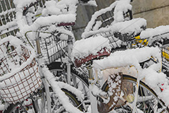 自転車に積もった雪,雪の朝,雪,積もる,冬,サドル,自転車,寒い,凍る,困る,カゴ,かご,籠,タイヤ,降る,積雪,snow,winter,フルサイズ撮影