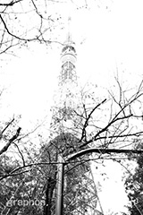 東京タワー,モノクロ,白黒,しろくろ,モノクローム,単色画,単彩画,単色