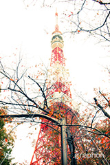 秋の東京タワー,トイカメラ撮影,トイカメラ,ヴィンテージ,ビンテージ,レトロ,お洒落,おしゃれ,オシャレ,味わい,トンネル効果