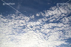 巻積雲,さば雲,サバ雲,巻積雲,空,青空,くも,そら,秋の空,いわし雲,とうろこ雲,波状雲,空/天気,空/雲