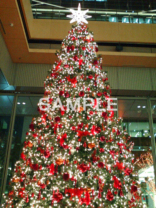 クリスマスツリー,ツリー,電飾,電球,発光ダイオード,LED,クリスマス,飾り,オーナメント,丸の内,イベント,行事