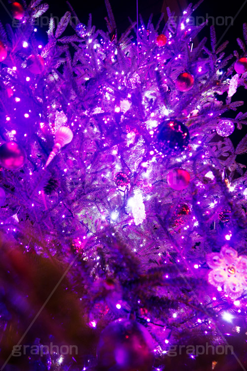 ピンクに輝くクリスマスツリー,クリスマスツリー,イルミネーション,イルミ,illumination,tree,電飾,電球,発光ダイオード,LED,冬,キラキラ,綺麗,きれい,キレイ,煌,輝,クリスマス,CHRISTMAS,Xmas,ornament,present,pink,飾り,デコレーション,イベント,オーナメント,ピンク,雨,雨粒