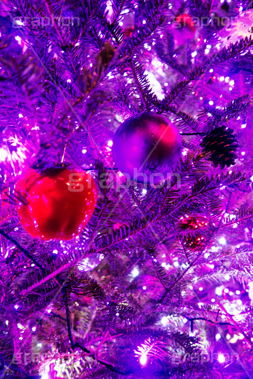 ピンクに輝くクリスマスツリー,クリスマスツリー,イルミネーション,イルミ,illumination,tree,電飾,電球,発光ダイオード,LED,冬,キラキラ,綺麗,きれい,キレイ,煌,輝,クリスマス,CHRISTMAS,Xmas,ornament,present,pink,飾り,デコレーション,イベント,オーナメント,ピンク,雨,雨粒