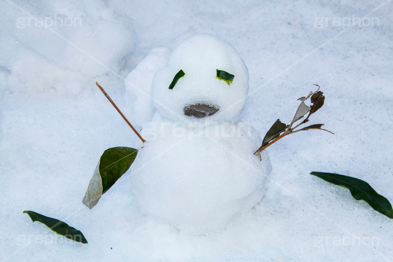 ゆるい顔の雪だるま,雪だるま,スノーマン,雪,ゆき,積,冬,落葉,葉,枝,石,snowman,snow,winter