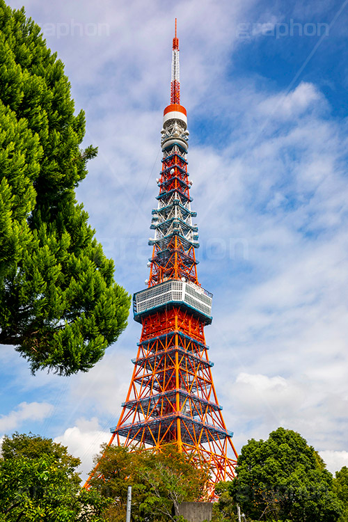 東京タワー真下,真下,見上げ,見上げる,鉄骨,鉄網,金網,真っ赤,とうきょうタワー,Tokyo Tower,港区,下から,迫力,圧巻,工事中,フルサイズ撮影,東京タワー