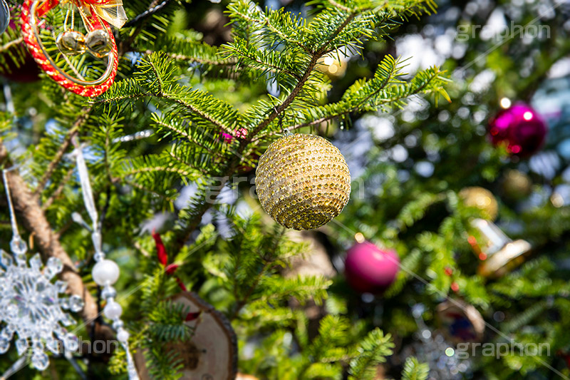 クリスマスオーナメント,クリスマス,クリスマスツリー,モミの木,もみの木,CHRISTMAS,Xmas,tree,飾り,デコレーション,ボール,オーナメント,イベント,冬,ornament,装飾,行事,ラインストーン,フルサイズ撮影