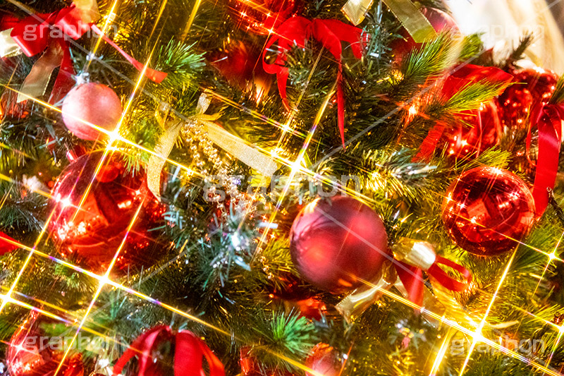 光り輝くクリスマスオーナメント,クリスマスツリー,イルミネーション,イルミ,電飾,電球,発光ダイオード,LED,冬,キラキラ,綺麗,きれい,キレイ,煌,輝,デート,クリスマス,CHRISTMAS,Xmas,ornament,illumination,tree,ribbon,リボン,飾り,デコレーション,イベント,オーナメント,ボール,フルサイズ撮影,もみの木,モミの木